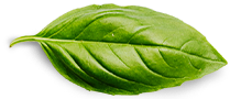 Best Tea Shop For Chinese Tea Leaves, Teapots And Teacups