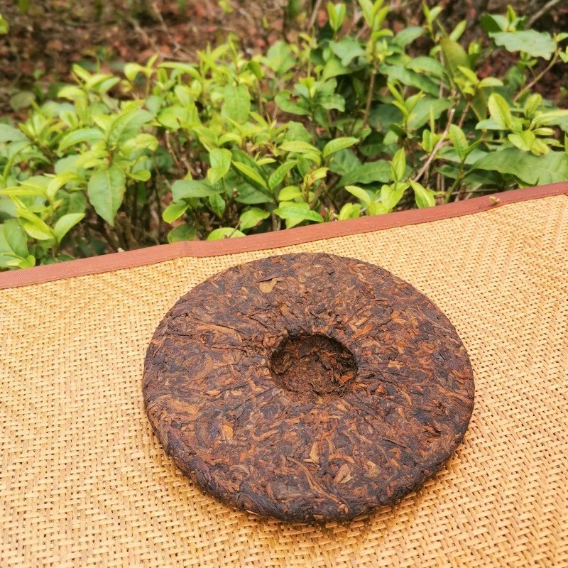 2019 Spring Palace Tribute Ripe Pu-erh Tea Cake of Bing Dao50