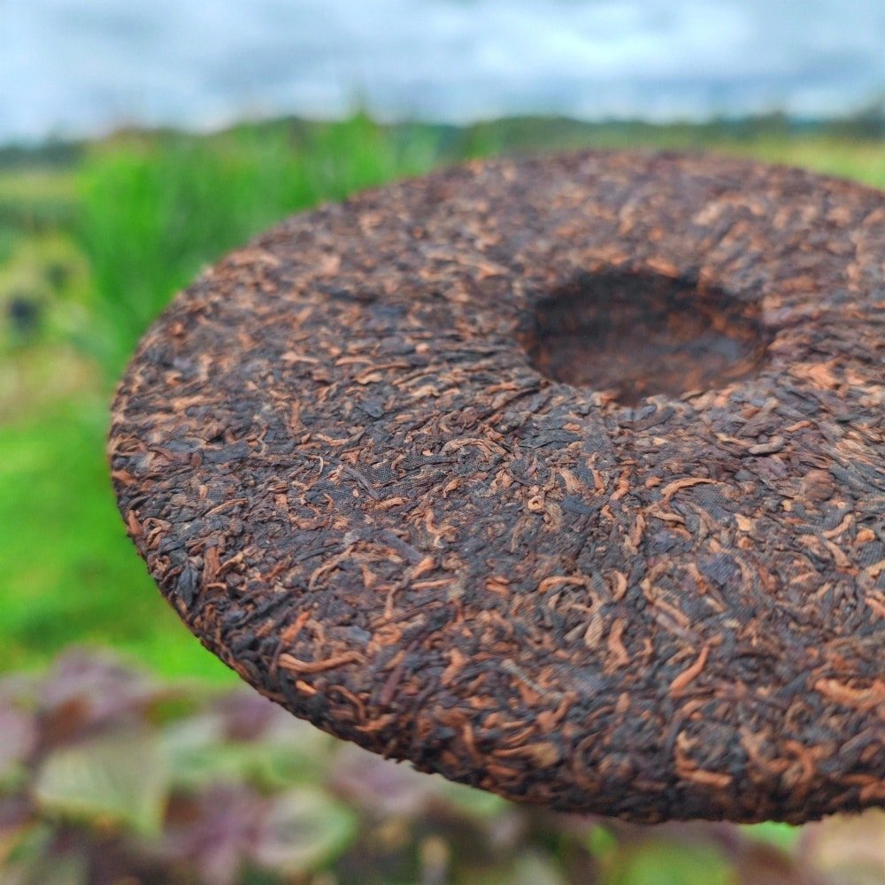 2010 Palace Ripe Pu-erh Tea Cake of Menghai15