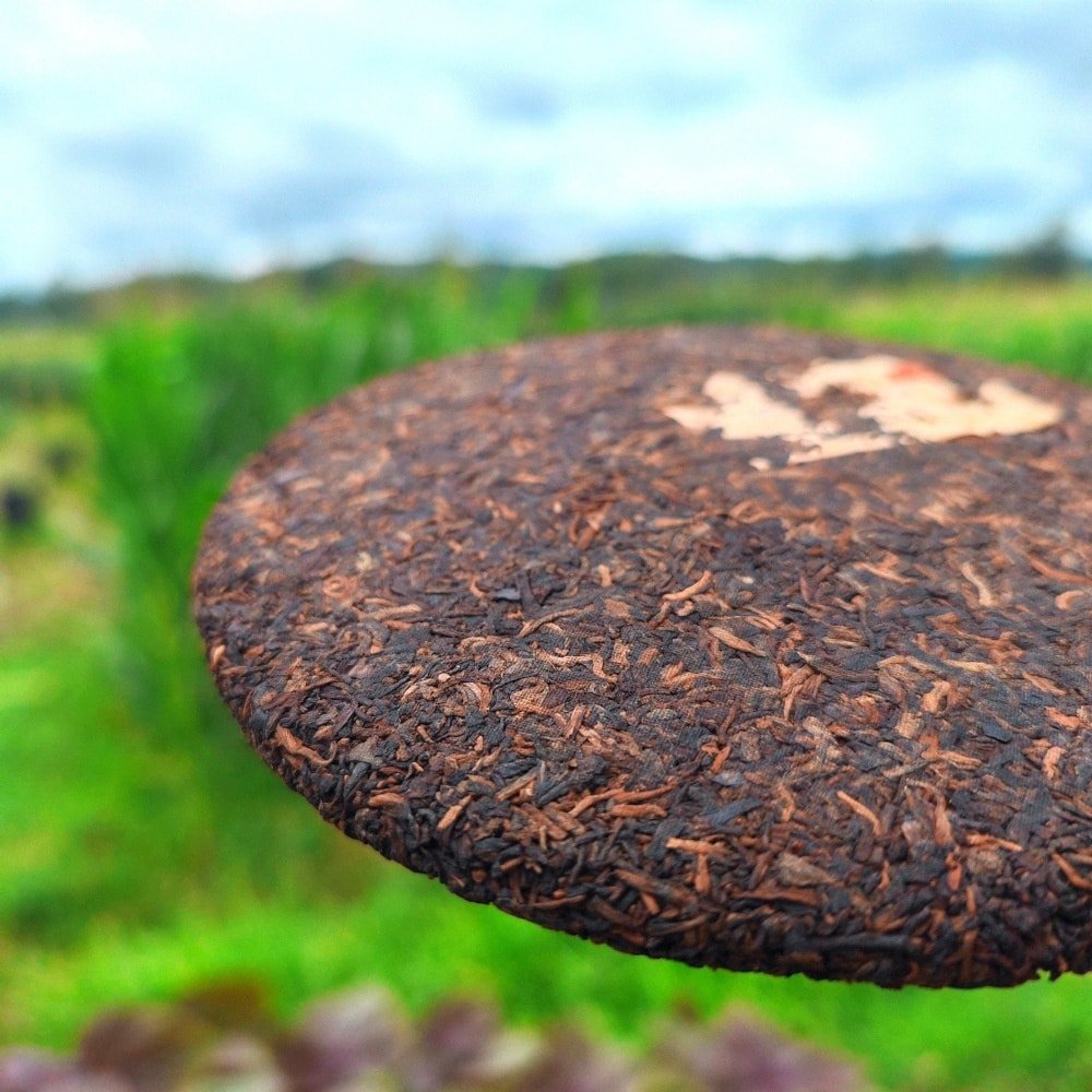 2010 Palace Ripe Pu-erh Tea Cake of Menghai13