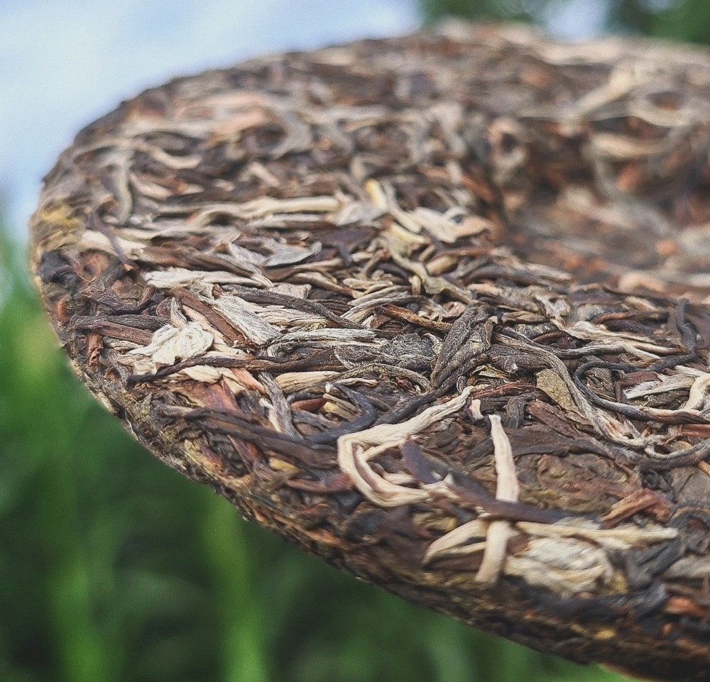 2019 Spring Arbor Raw Pu-erh Tea Cake of Menghai36