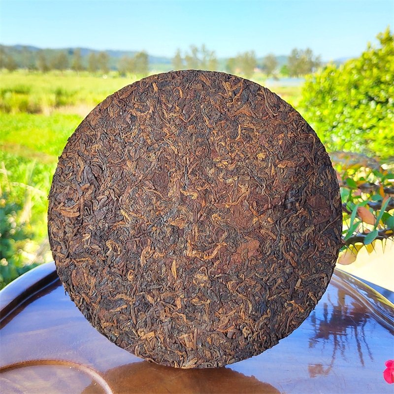 2009 Old Tree Ripe Pu-erh Tea Cake of Yi Wu29