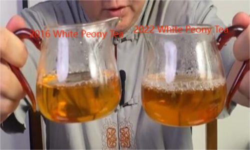 differences between 2016 and 2022 White Peony Tea water
