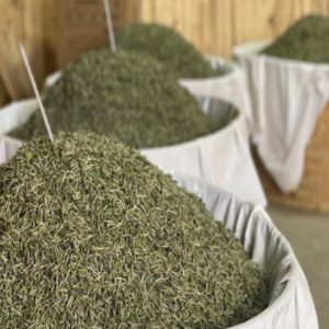 aged to perfection of white tea