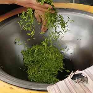Superior Pre-qingming And Pre-rain Bi Luo Chun Green Tea