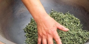 an image showing the process we produce tie guan yin by hand-rolling tea leaves