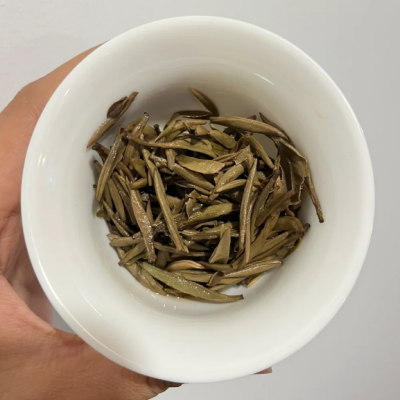 brewed tea leaves of 2013 silver needle white tea