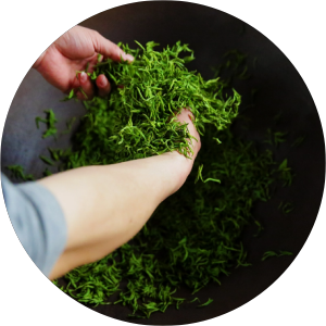 one stage of traditionally brewing puerh tea