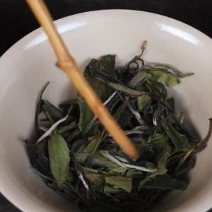 first grade gong mei white tea