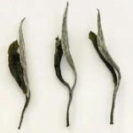 tea appearance of first grade white peony white tea