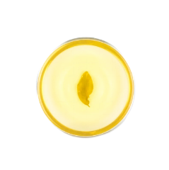 pure tea water color of green tea