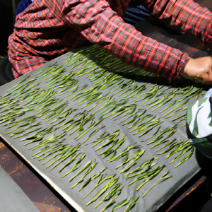 Experience Essence Of Tranquility With Taiping Houkui Green Tea