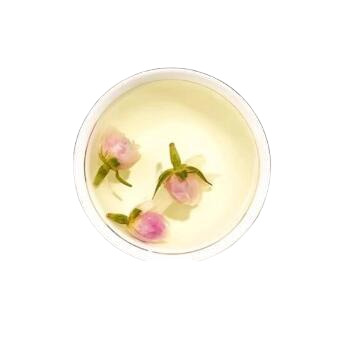 pure tea water color of flower tea in a cup