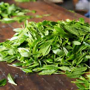 Experience Essence Of Tranquility With Taiping Houkui Green Tea