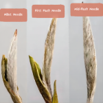 visual comparision of silver needle's varieties