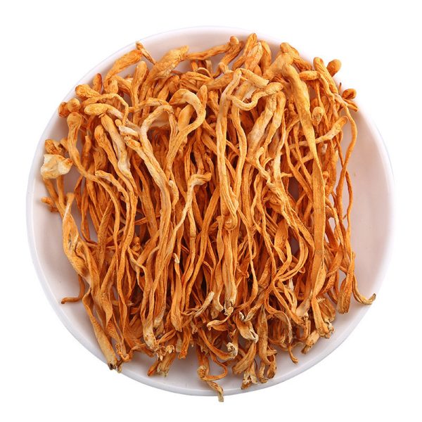 First Grade Cordyceps Tea Cordyceps Sinensis Cordyceps Mushroom from China