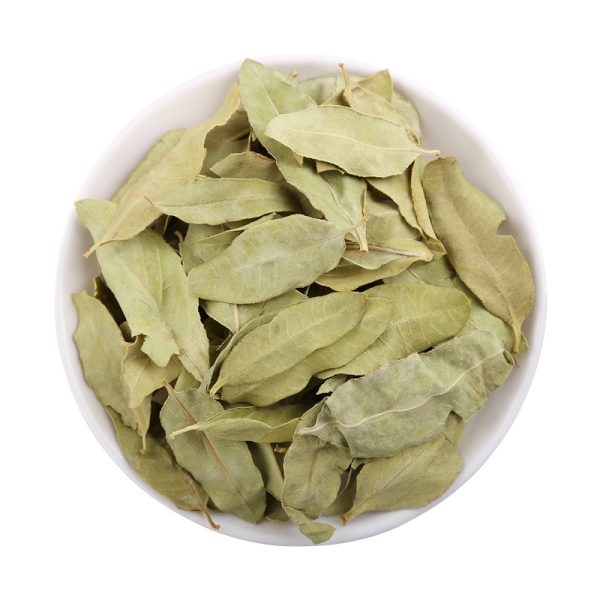 First Grade Apocynum Tea Luobuma Tea from Xinjiang