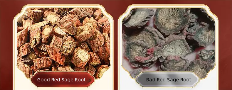 comparision of good and bad Red Sage Root Dan Shen Tea