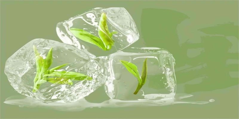 Can You Cold Brew Green Tea