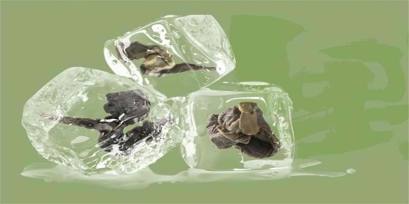 Can You Cold Brew oolong Tea