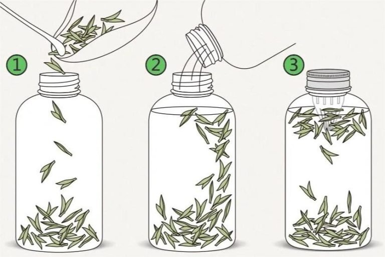 How To Cold Brew Tea Method