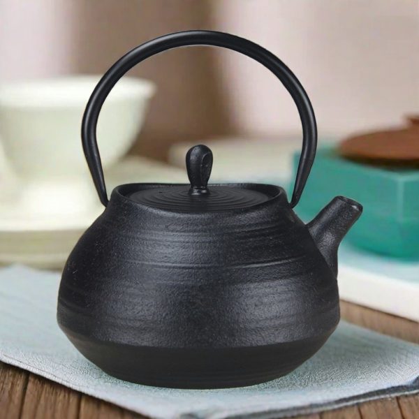 Vintage Simple Black Japanese Tetsubin Cast Iron Teapot With Infuser