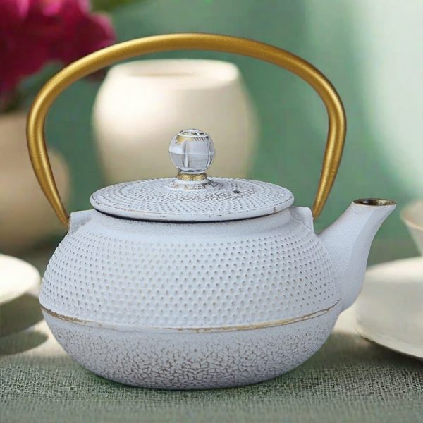 White Vintage Particle Japanese Tetsubin Tea Kettle Cast Iron Teapot