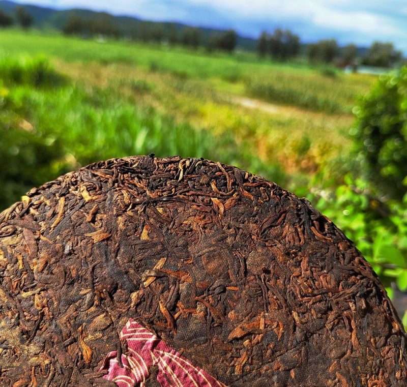 2012 Golden Needle Tribute Ripe Pu-erh Tea Cake of Menghai - Image 2