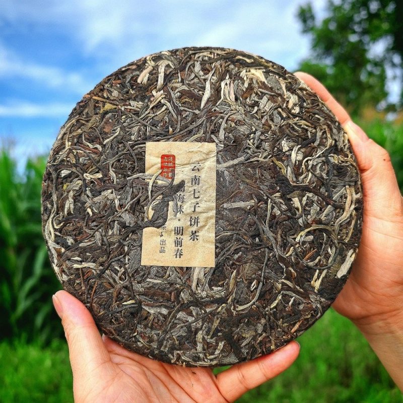2019 Spring Arbor Raw Pu-erh Tea Cake of Menghai - Image 3